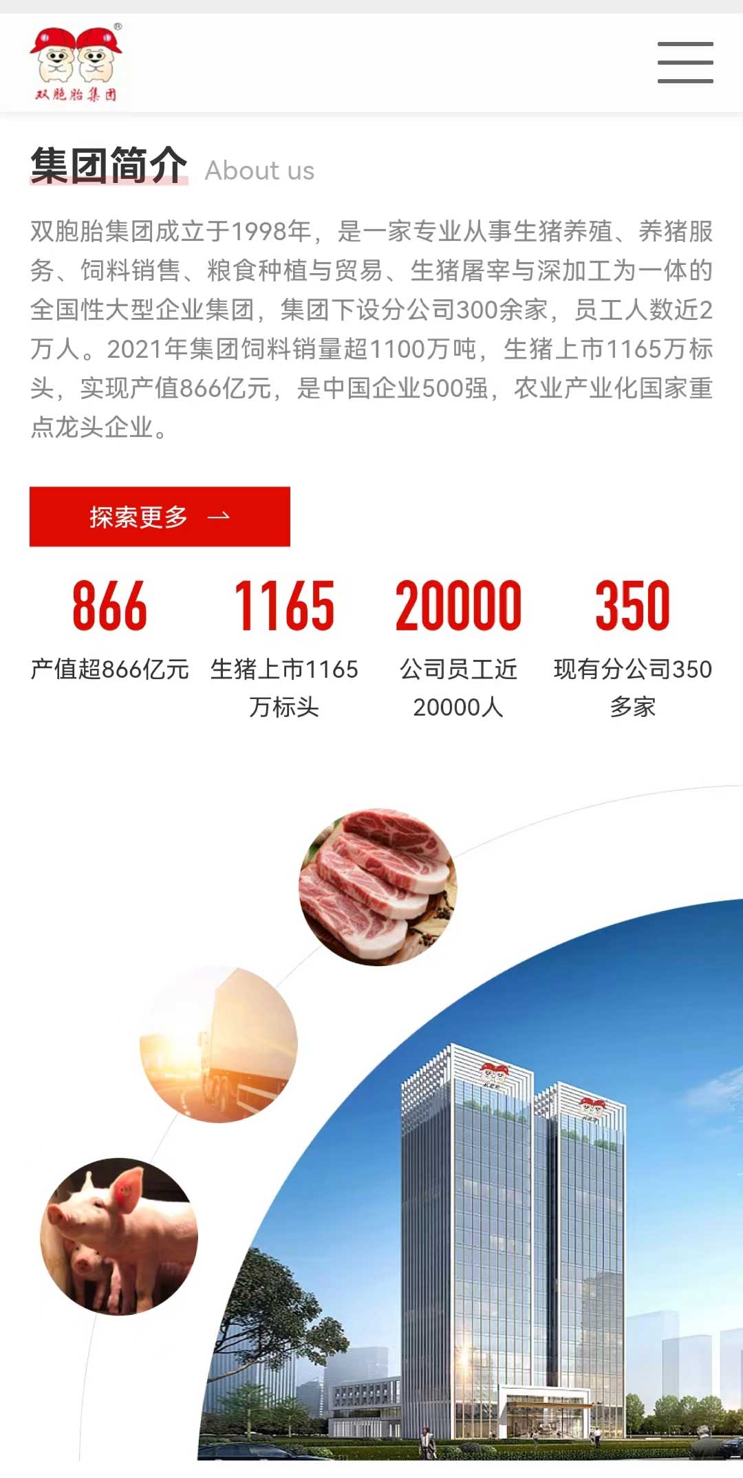 双胞胎集团官网